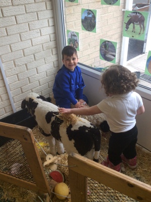 On the Farm! 
